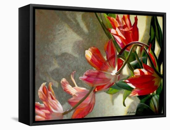 Shades of Holland-Jan McLaughlin-Framed Stretched Canvas