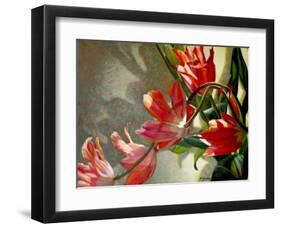 Shades of Holland-Jan McLaughlin-Framed Art Print