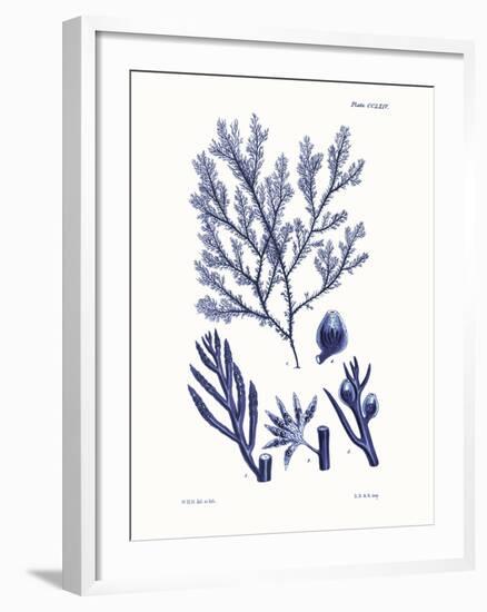 Shades of Indigo IV-Vision Studio-Framed Art Print