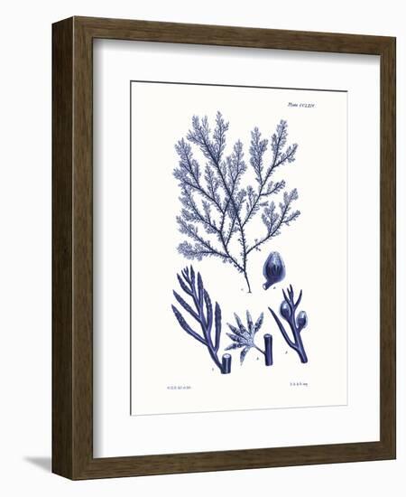 Shades of Indigo IV-Vision Studio-Framed Art Print