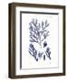 Shades of Indigo IV-Vision Studio-Framed Art Print