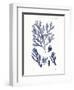 Shades of Indigo IV-Vision Studio-Framed Art Print