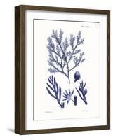 Shades of Indigo IV-Vision Studio-Framed Art Print