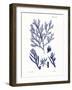 Shades of Indigo IV-Vision Studio-Framed Art Print