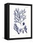 Shades of Indigo IV-Vision Studio-Framed Stretched Canvas