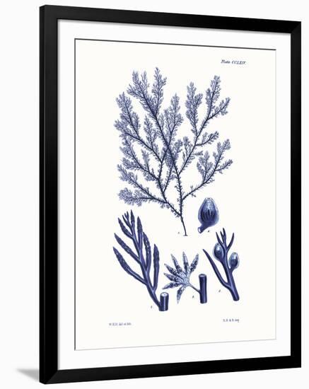 Shades of Indigo IV-Vision Studio-Framed Art Print