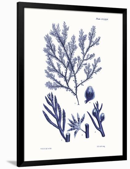 Shades of Indigo IV-Vision Studio-Framed Art Print