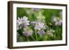 Shades of Nature 10-Gordon Semmens-Framed Photographic Print