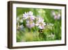 Shades of Nature 11-Gordon Semmens-Framed Photographic Print