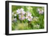 Shades of Nature 11-Gordon Semmens-Framed Photographic Print