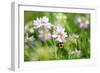 Shades of Nature 11-Gordon Semmens-Framed Photographic Print