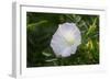 Shades of Nature 26-Gordon Semmens-Framed Photographic Print