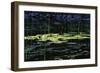 Shades of Nature 33-Gordon Semmens-Framed Photographic Print