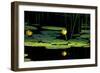 Shades of Nature 34-Gordon Semmens-Framed Photographic Print