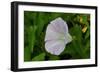 Shades of Nature 38-Gordon Semmens-Framed Photographic Print