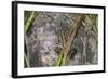 Shades of Nature 3-Gordon Semmens-Framed Photographic Print