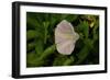 Shades of Nature 40-Gordon Semmens-Framed Photographic Print