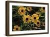 Shades of Nature 44-Gordon Semmens-Framed Photographic Print