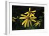 Shades of Nature 47-Gordon Semmens-Framed Photographic Print