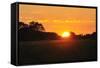 Shades of Nature 48-Gordon Semmens-Framed Stretched Canvas