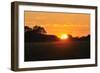 Shades of Nature 48-Gordon Semmens-Framed Photographic Print