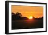 Shades of Nature 48-Gordon Semmens-Framed Photographic Print