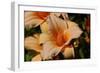 Shades of Nature 51-Gordon Semmens-Framed Photographic Print