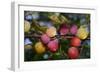 Shades of Nature 59-Gordon Semmens-Framed Photographic Print