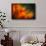 Shades of Orange-Ursula Abresch-Photographic Print displayed on a wall