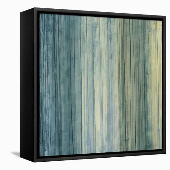 Shades of Pale-Randy Hibberd-Framed Stretched Canvas