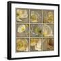 Shades of Poppies-Janel Pahl-Framed Giclee Print