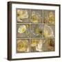 Shades of Poppies-Janel Pahl-Framed Giclee Print