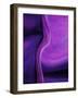 Shades of Purple I-Ruth Palmer 2-Framed Art Print