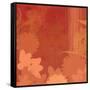 Shades of Red-Andrew Michaels-Framed Stretched Canvas