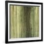 Shades of Sage-Randy Hibberd-Framed Art Print