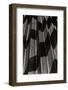 Shadow 1-Lee Peterson-Framed Photographic Print