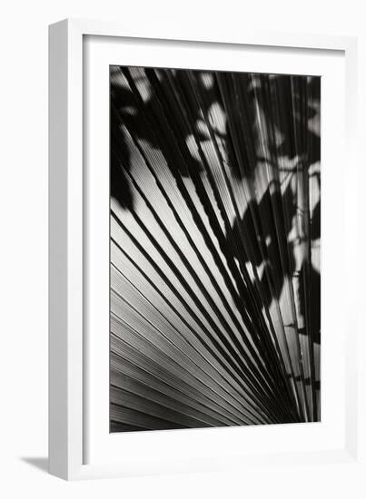 Shadow 2-Lee Peterson-Framed Photographic Print