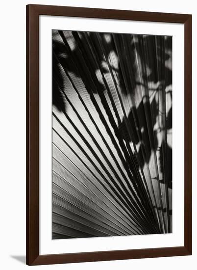 Shadow 2-Lee Peterson-Framed Photographic Print