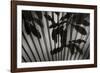 Shadow 3-Lee Peterson-Framed Photographic Print