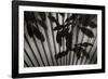 Shadow 3-Lee Peterson-Framed Photographic Print