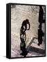 Shadow and Silhouette of Cyclistist and Pedestrian, New York, New York, USA-null-Framed Stretched Canvas