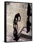 Shadow and Silhouette of Cyclistist and Pedestrian, New York, New York, USA-null-Framed Stretched Canvas