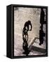 Shadow and Silhouette of Cyclistist and Pedestrian, New York, New York, USA-null-Framed Stretched Canvas