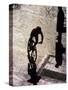 Shadow and Silhouette of Cyclistist and Pedestrian, New York, New York, USA-null-Stretched Canvas