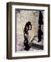 Shadow and Silhouette of Cyclistist and Pedestrian, New York, New York, USA-null-Framed Photographic Print