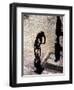 Shadow and Silhouette of Cyclistist and Pedestrian, New York, New York, USA-null-Framed Photographic Print