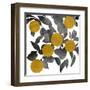 Shadow Branch IV-Emma Scarvey-Framed Art Print