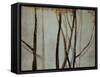 Shadow Branches-Kari Taylor-Framed Stretched Canvas