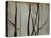 Shadow Branches-Kari Taylor-Stretched Canvas