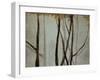 Shadow Branches-Kari Taylor-Framed Giclee Print